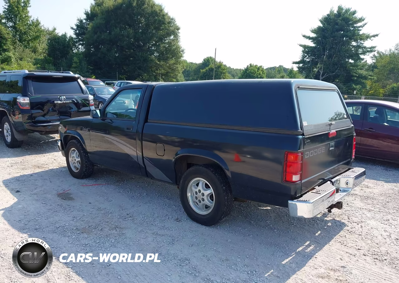 1995 Dodge Dakota VIN:1B7FL26X1SW905686 - 3