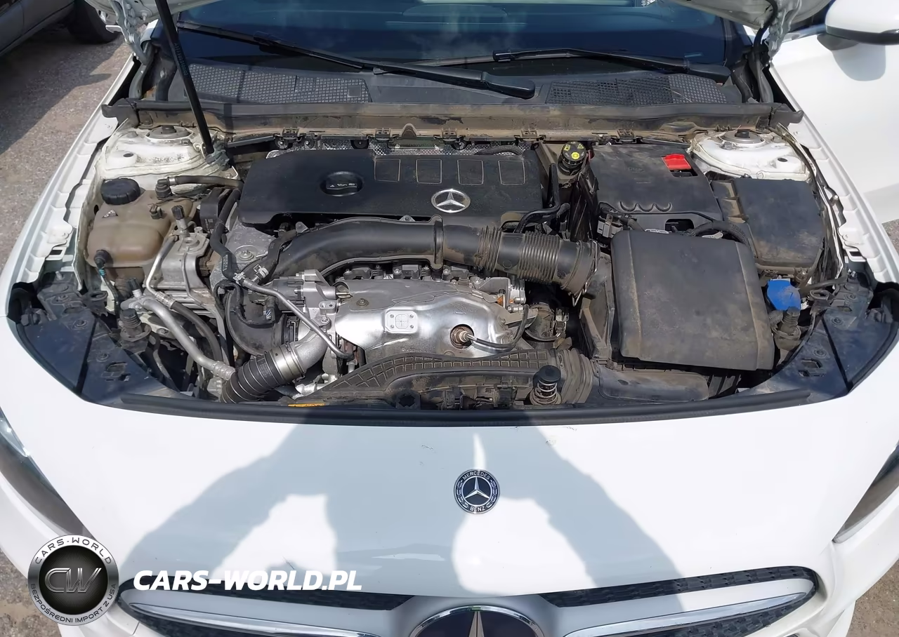 2019 Mercedes-Benz A 220 VIN:WDD3G4EBXKW035449 - 10