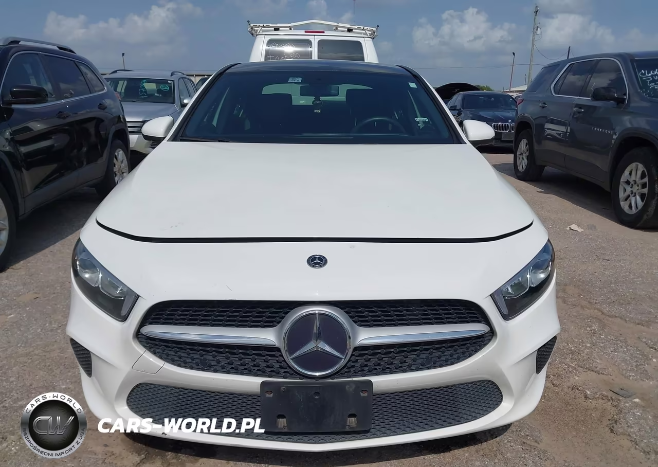2019 Mercedes-Benz A 220 VIN:WDD3G4EBXKW035449 - 12