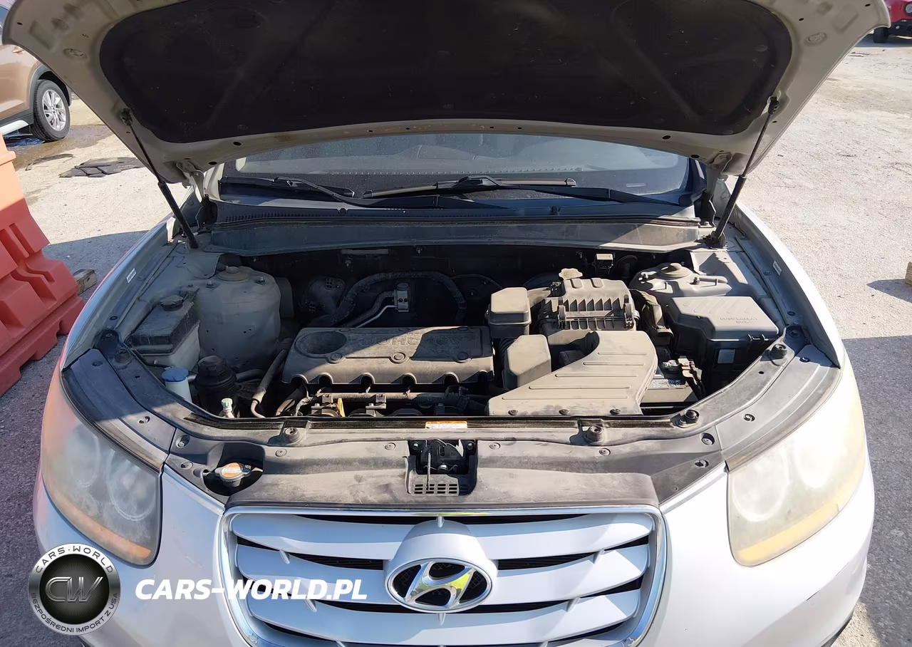 2010 Hyundai Santa Fe Gls VIN:5NMSG3AB9AH366580 - 10