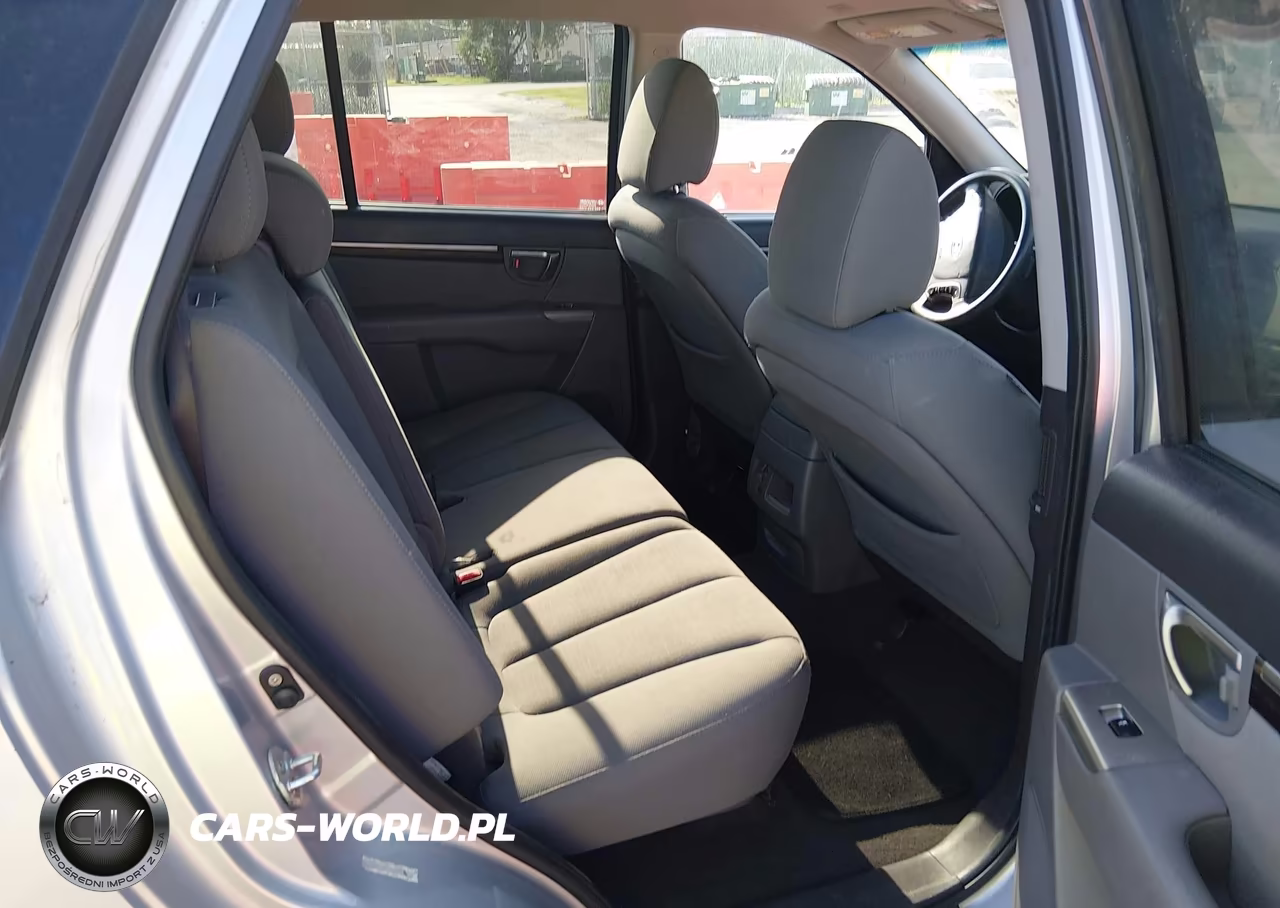 2010 Hyundai Santa Fe Gls VIN:5NMSG3AB9AH366580 - 8
