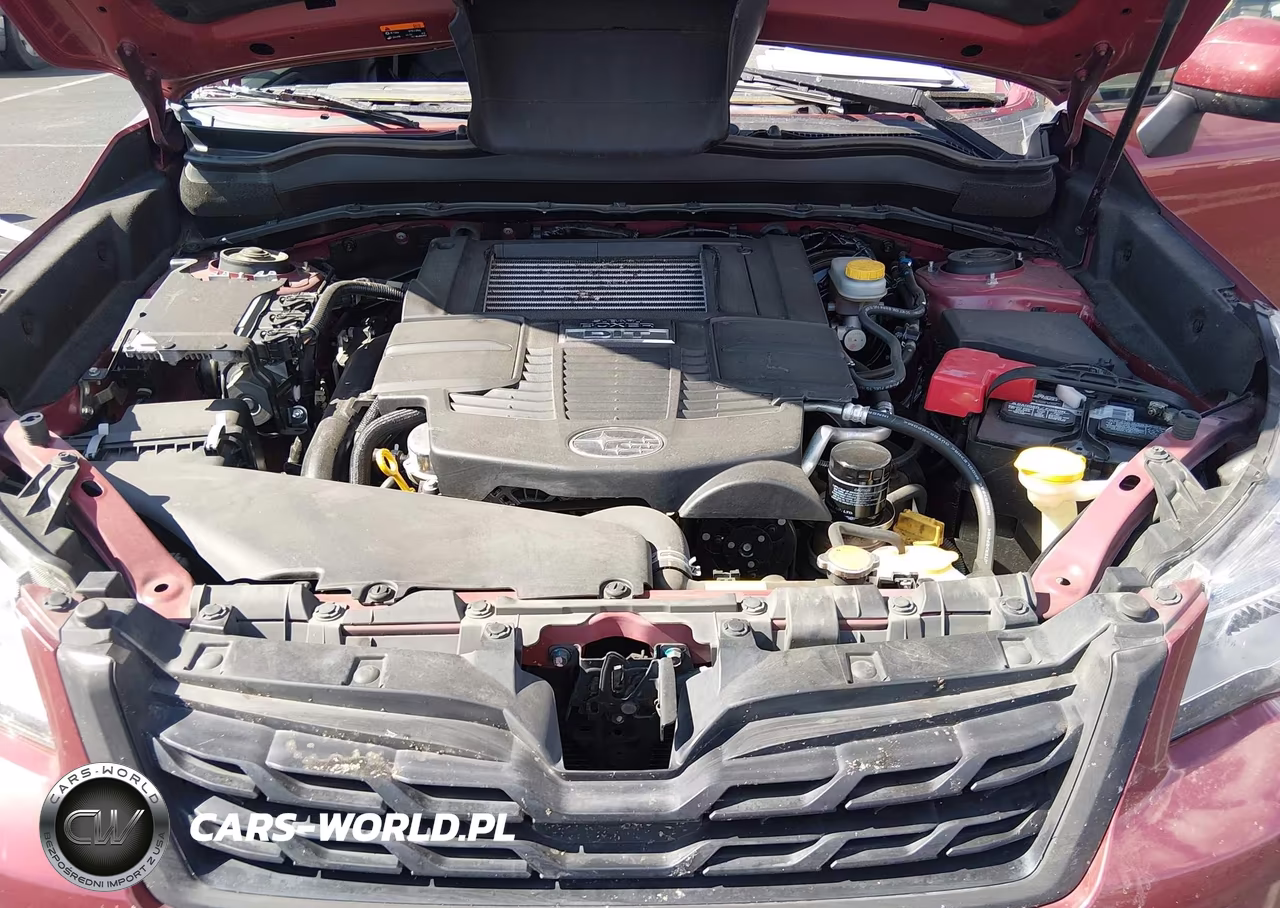 2018 Subaru Forester 2.0Xt Premium VIN:JF2SJGEC5JH428717 - 10