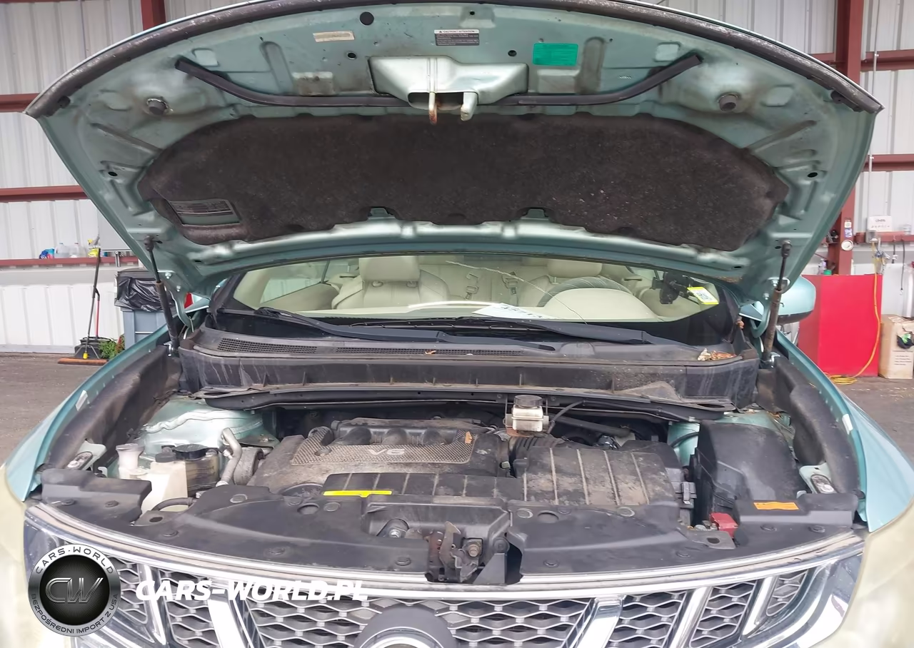 2011 Nissan Murano Crosscabriolet VIN:JN8AZ1FY0BW003501 - 10