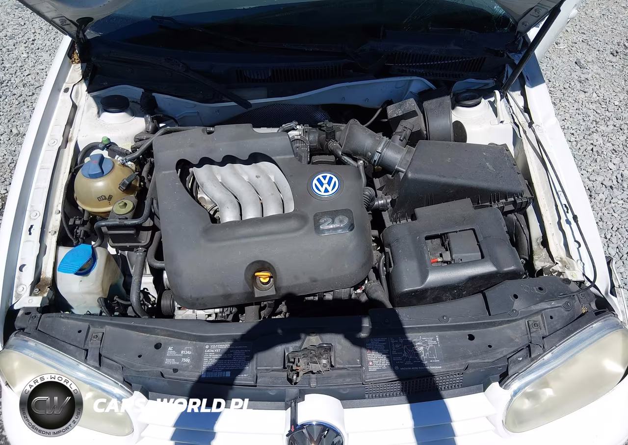 2001 Volkswagen Golf Gls VIN:9BWGT61J814061838 - 10