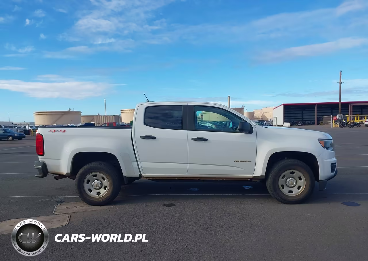 2019 Chevrolet Colorado Wt VIN:1GCGTBEN8K1101306 - 13