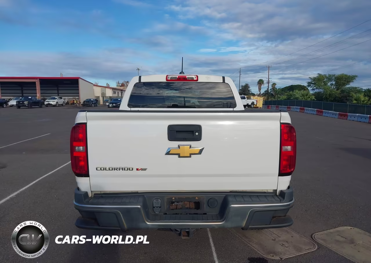 2019 Chevrolet Colorado Wt VIN:1GCGTBEN8K1101306 - 16