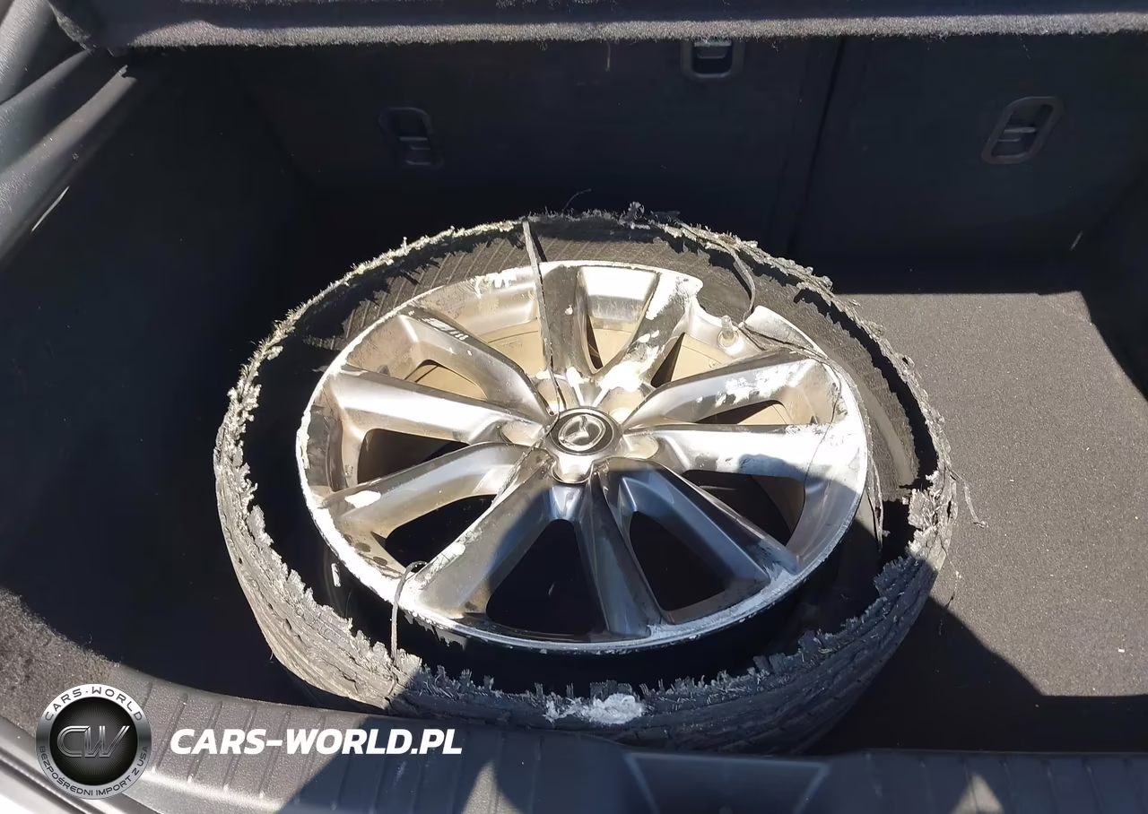 2019 Mazda Mazda3 VIN:JM1BPAJMXK1130649 - 12