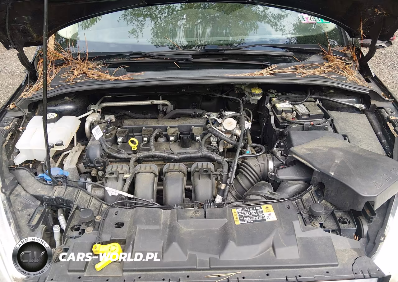 2016 Ford Focus Se VIN:1FADP3F27GL385112 - 10