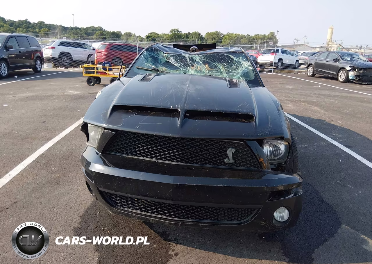 2009 Ford Mustang Gt-Gt Premium VIN:1ZVHT82H495128315 - 12