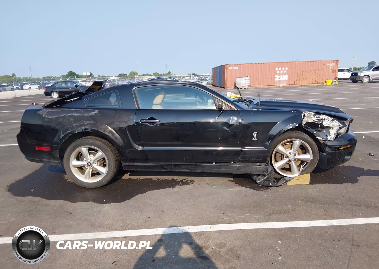 2009 Ford Mustang Gt-Gt Premium VIN:1ZVHT82H495128315 - 13