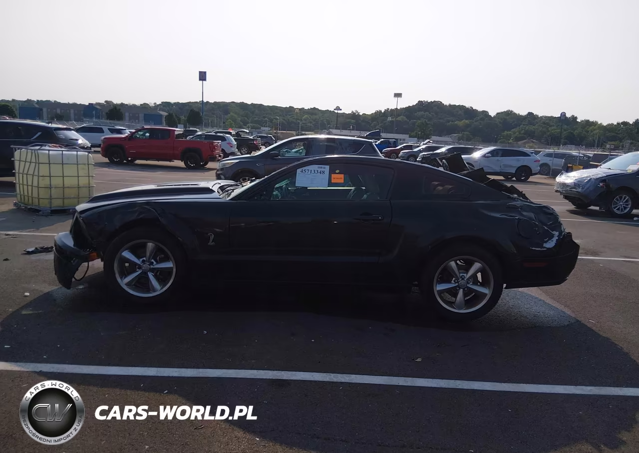 2009 Ford Mustang Gt-Gt Premium VIN:1ZVHT82H495128315 - 14