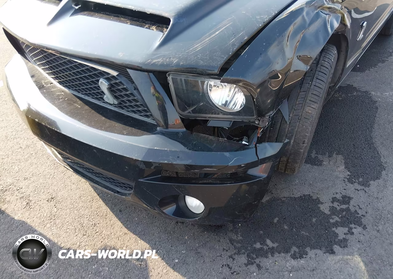 2009 Ford Mustang Gt-Gt Premium VIN:1ZVHT82H495128315 - 17