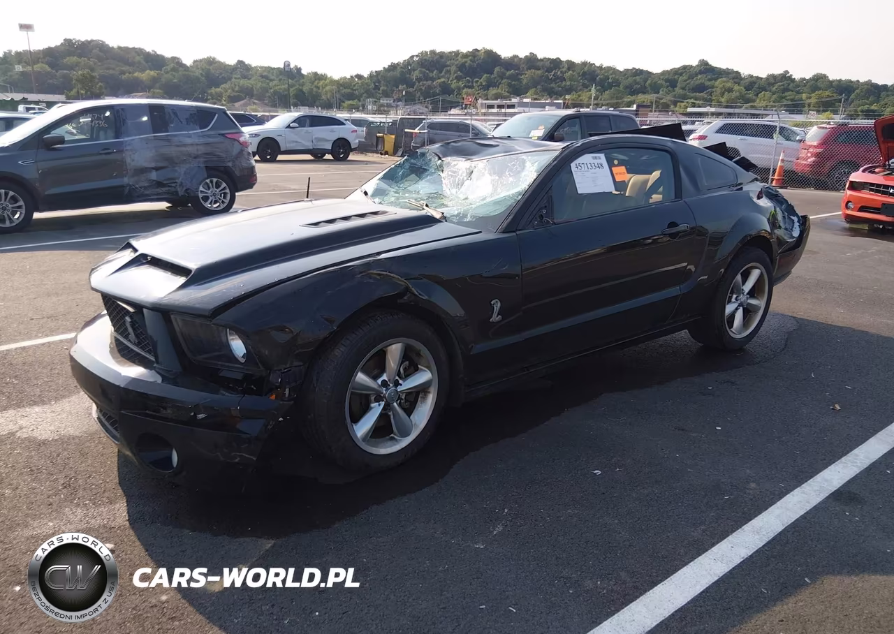 2009 Ford Mustang Gt-Gt Premium VIN:1ZVHT82H495128315 - 2
