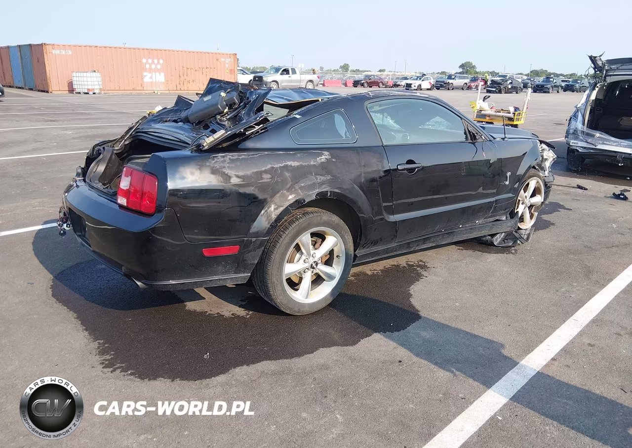 2009 Ford Mustang Gt-Gt Premium VIN:1ZVHT82H495128315 - 4