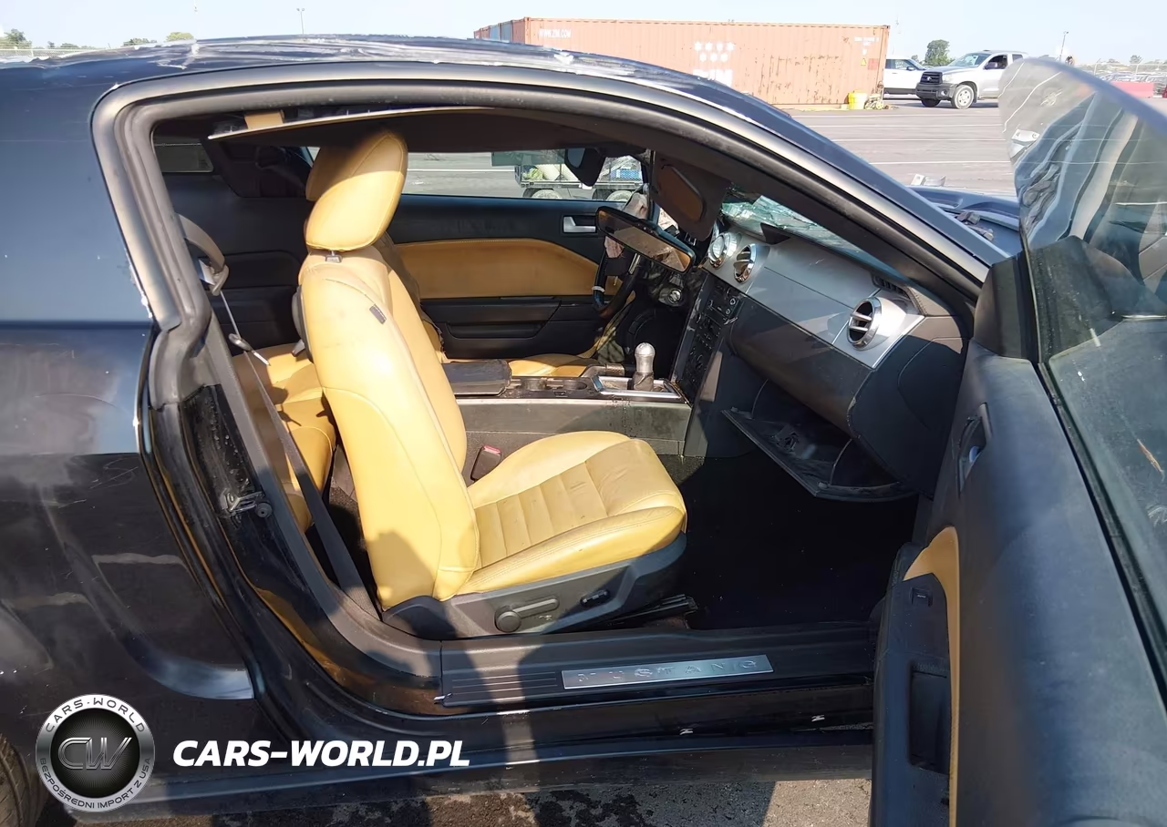 2009 Ford Mustang Gt-Gt Premium VIN:1ZVHT82H495128315 - 5