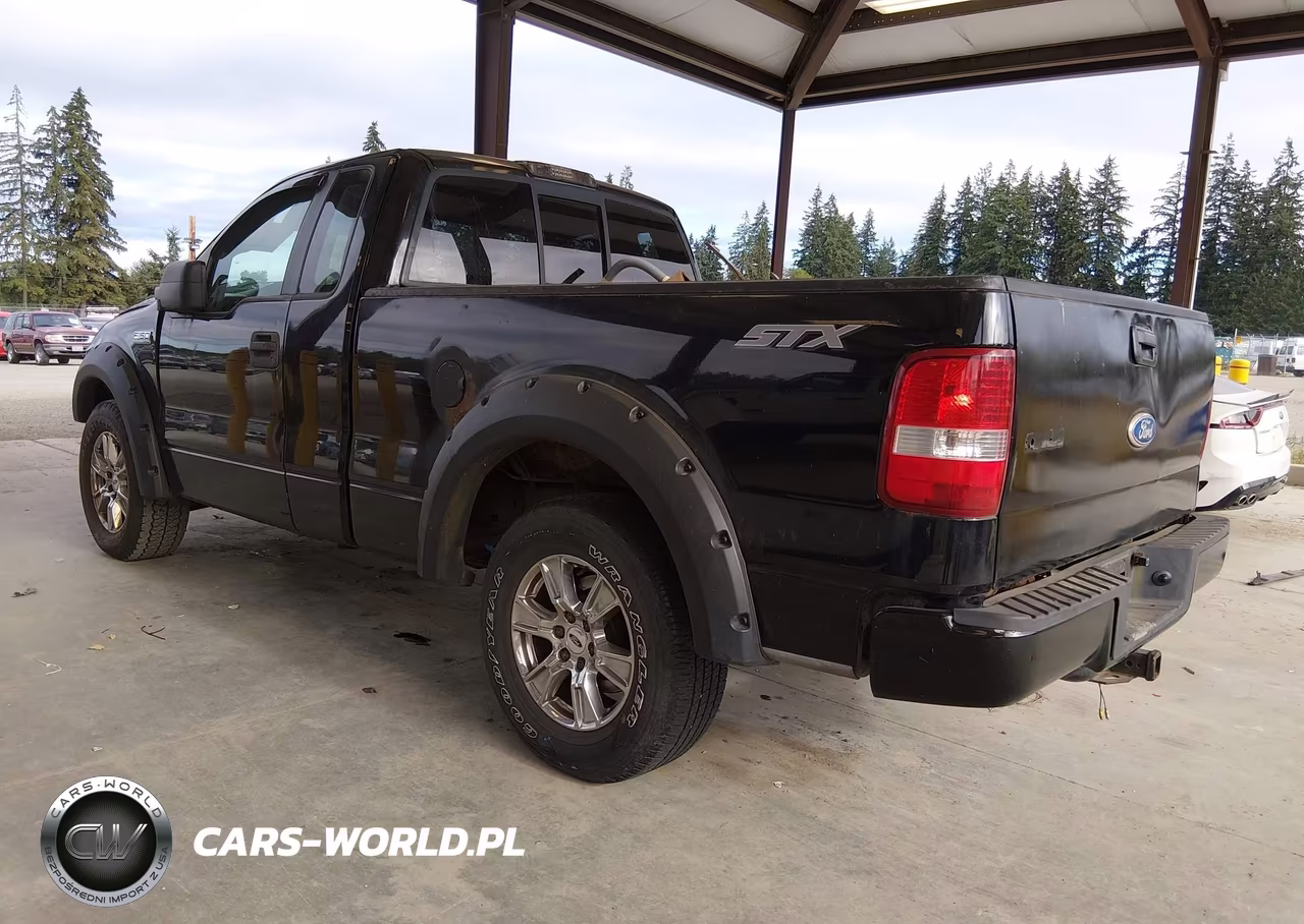 2005 Ford F-150 Stx-Xl-Xlt VIN:1FTRF12W55NA43496 - 3