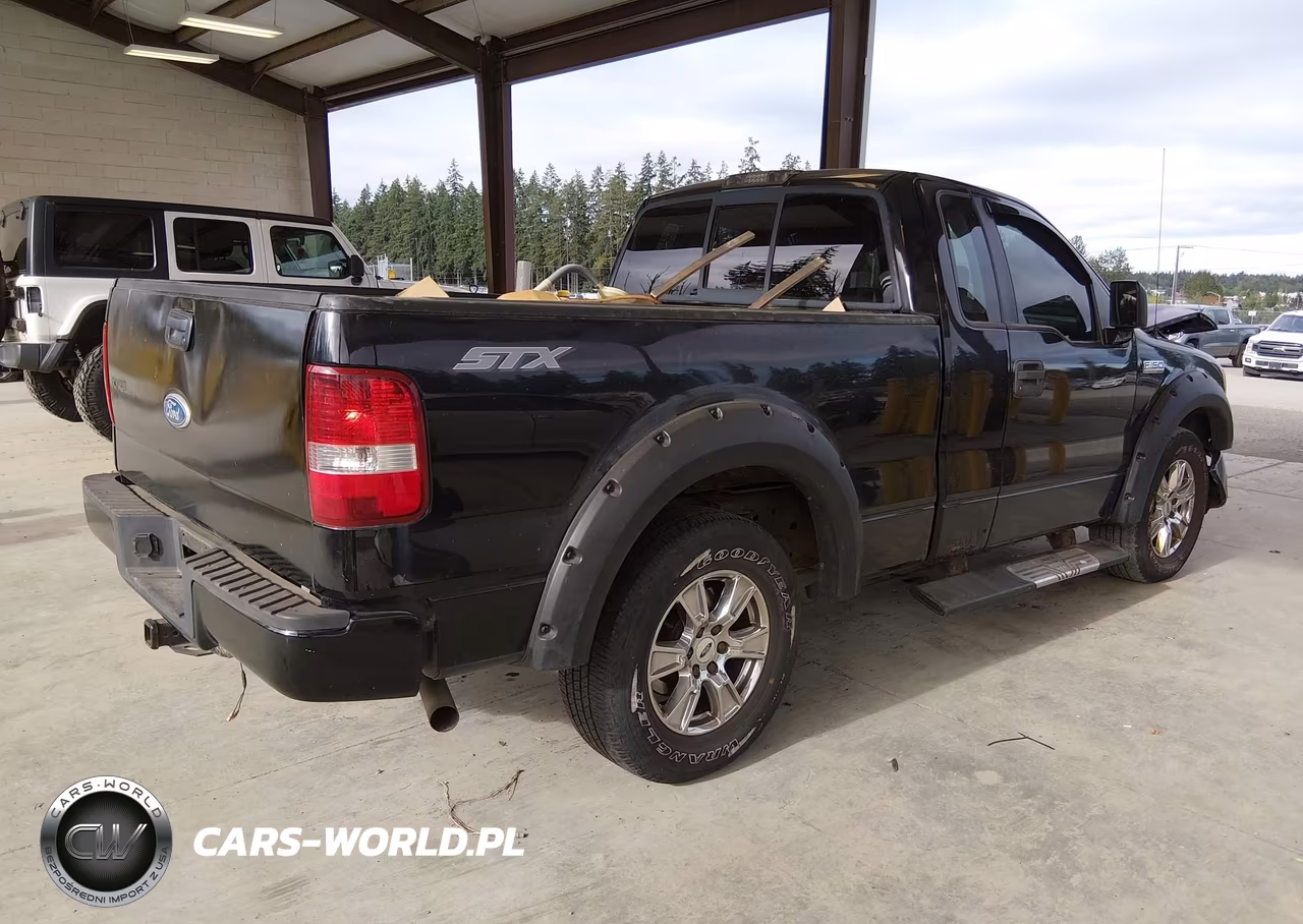 2005 Ford F-150 Stx-Xl-Xlt VIN:1FTRF12W55NA43496 - 4