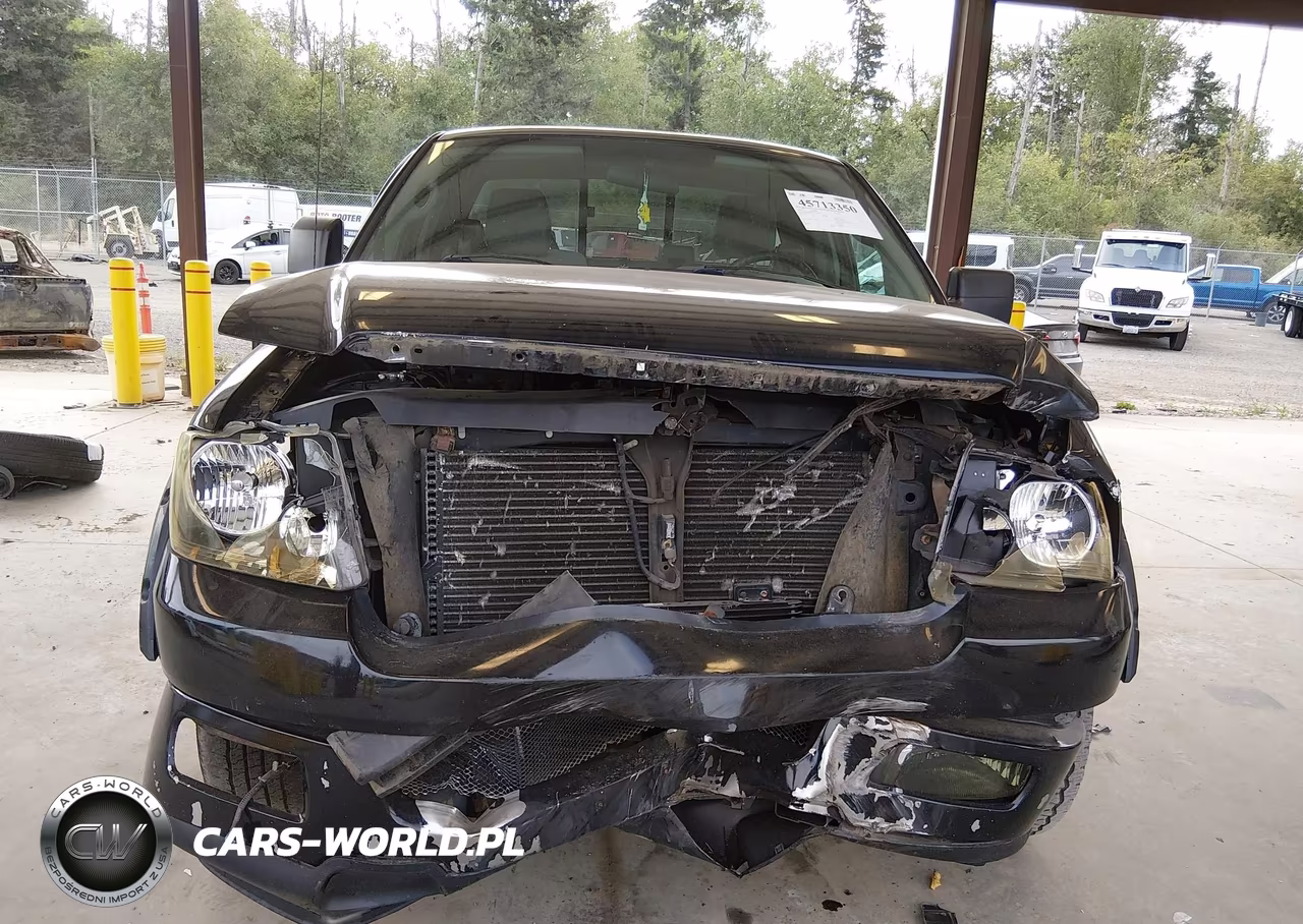2005 Ford F-150 Stx-Xl-Xlt VIN:1FTRF12W55NA43496 - 6