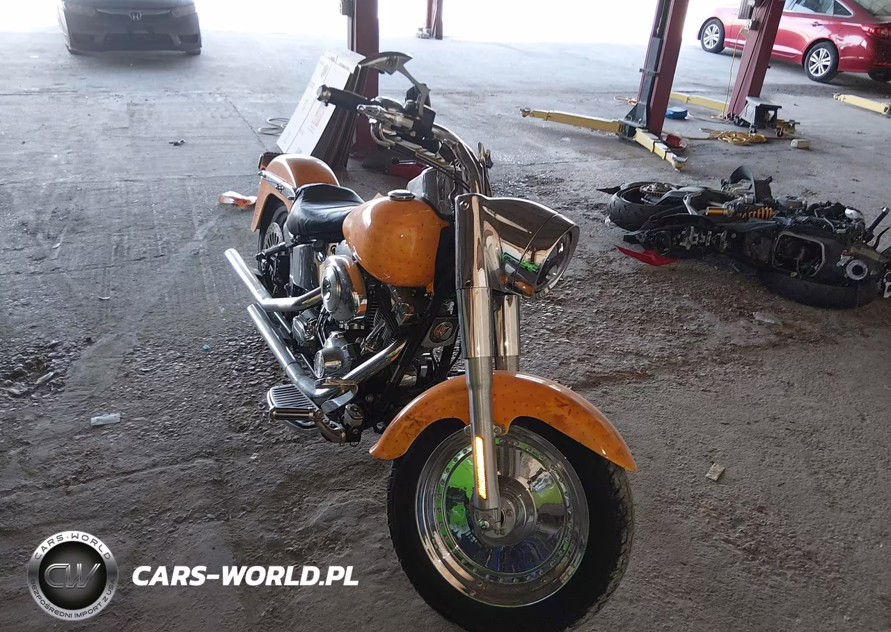 2002 Harley-Davidson Flstf