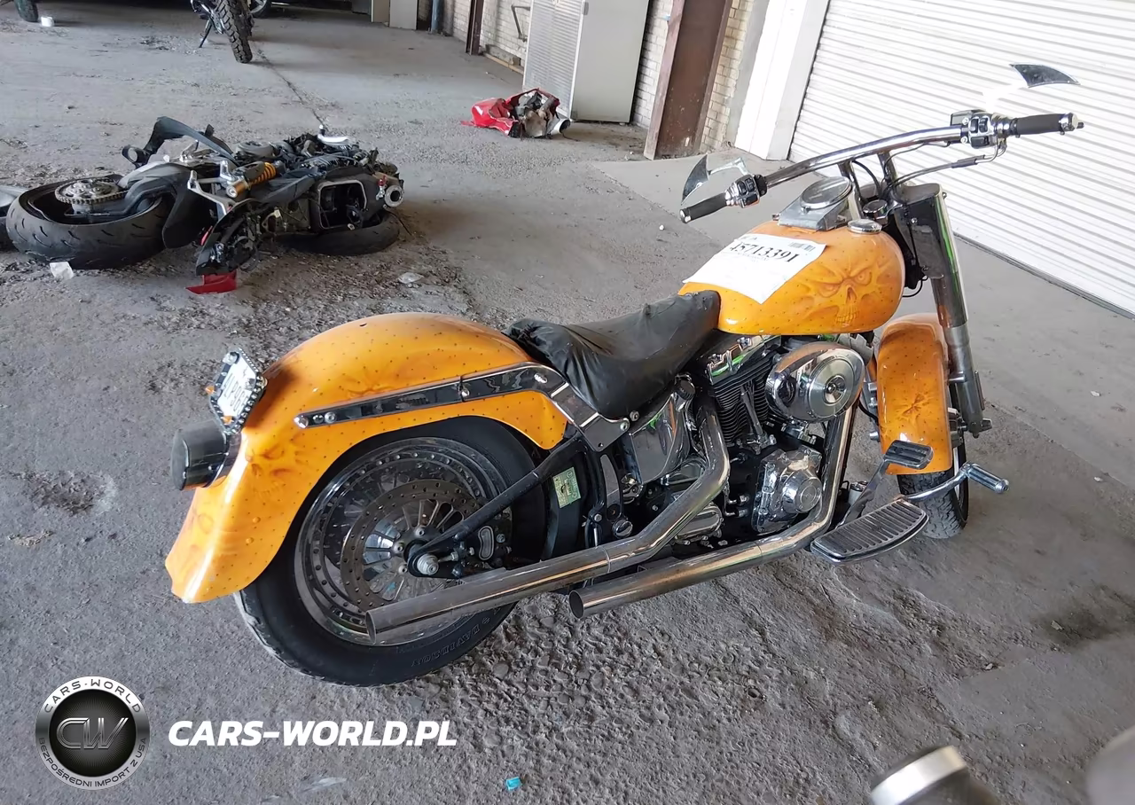 2002 Harley-Davidson Flstf VIN:1HD1BMY162Y043506 - 11