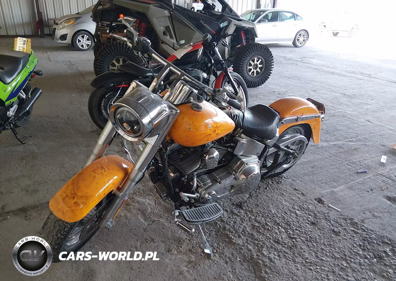 2002 Harley-Davidson Flstf VIN:1HD1BMY162Y043506 - 2