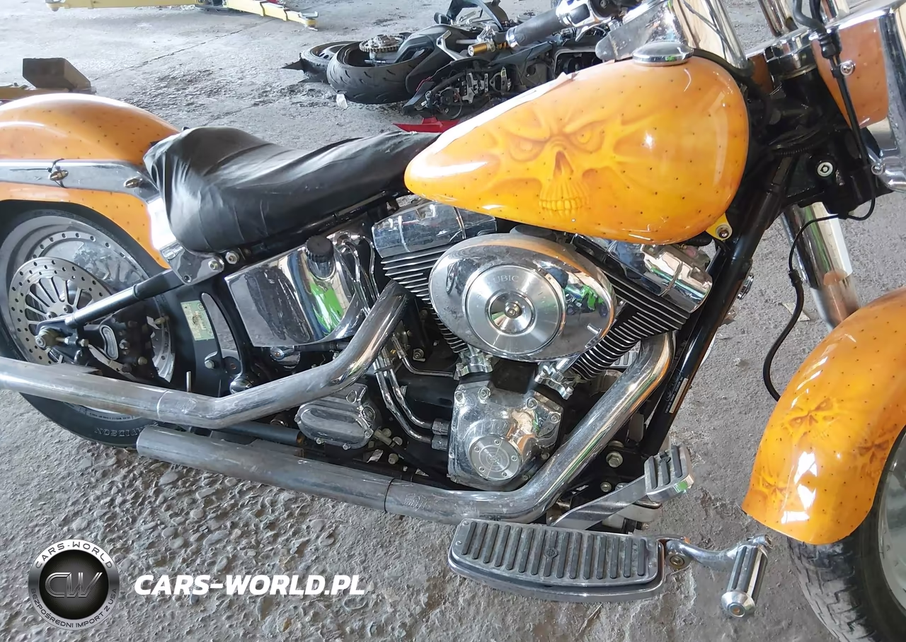 2002 Harley-Davidson Flstf VIN:1HD1BMY162Y043506 - 8