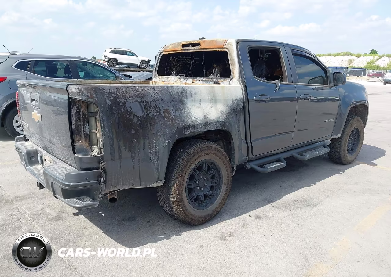 2016 Chevrolet Colorado 4Wd Z71 VIN:1GCGTDE35G1283726 - 4