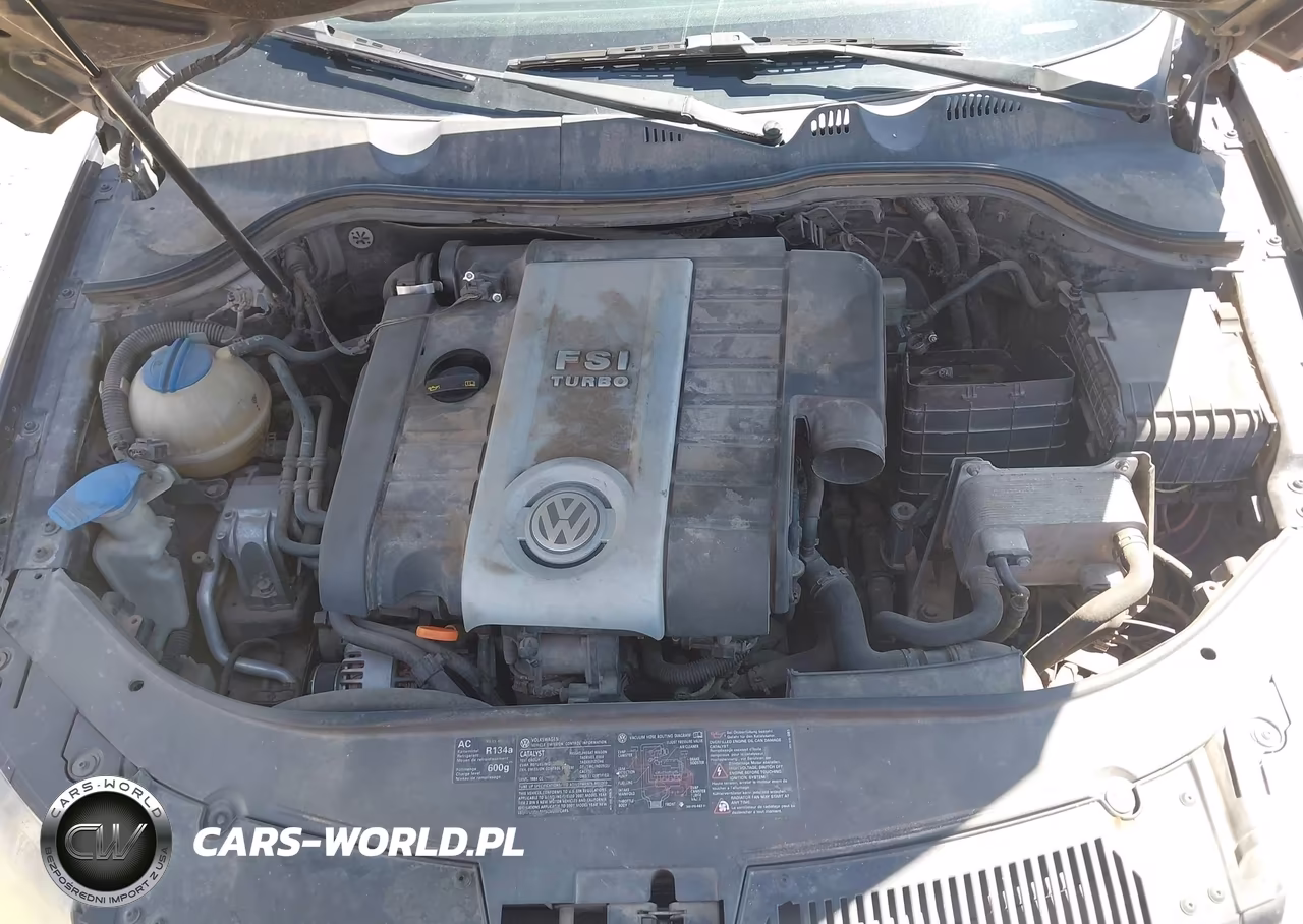 2007 Volkswagen Passat 2.0T VIN:WVWAK93C67P060634 - 10