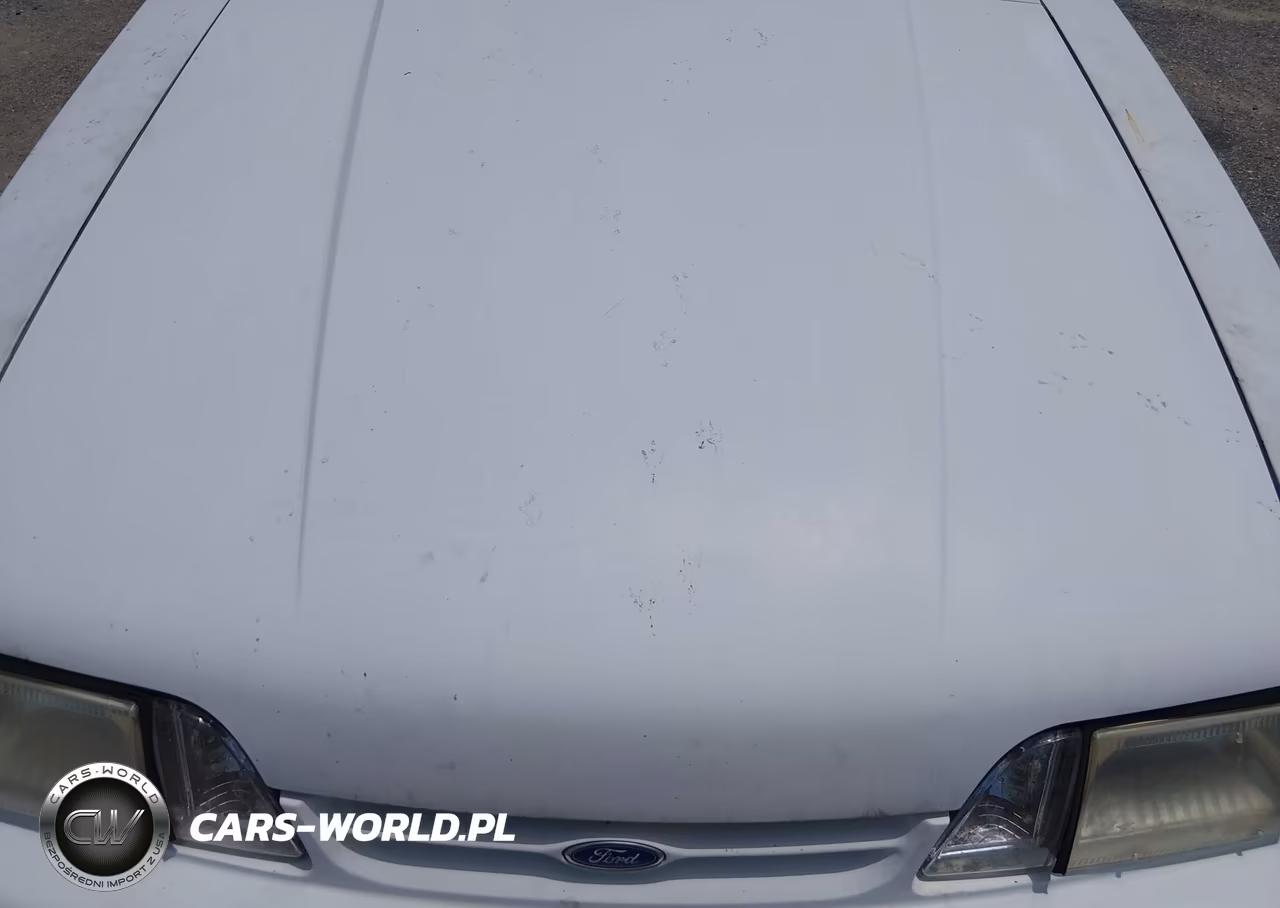 1993 Ford Mustang Lx VIN:1FACP44M8PF137956 - 10