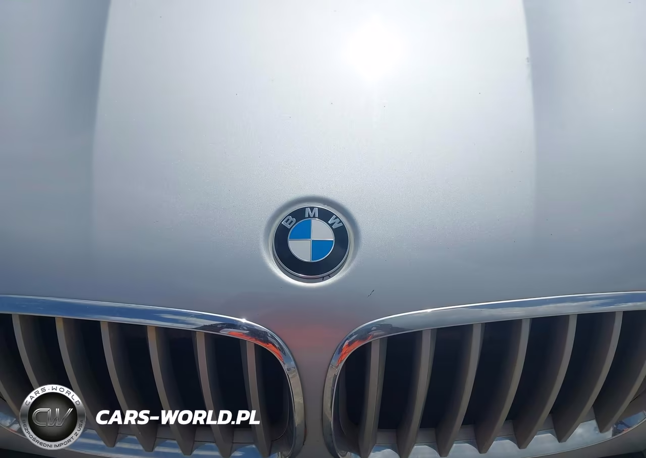 2007 BMW X5 4.8I VIN:5UXFE83567LZ42126 - 6
