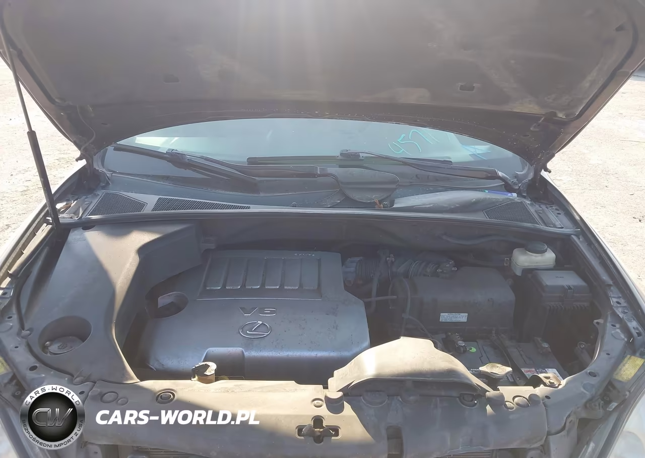 2009 Lexus Rx 350 VIN:2T2HK31U09C105605 - 10