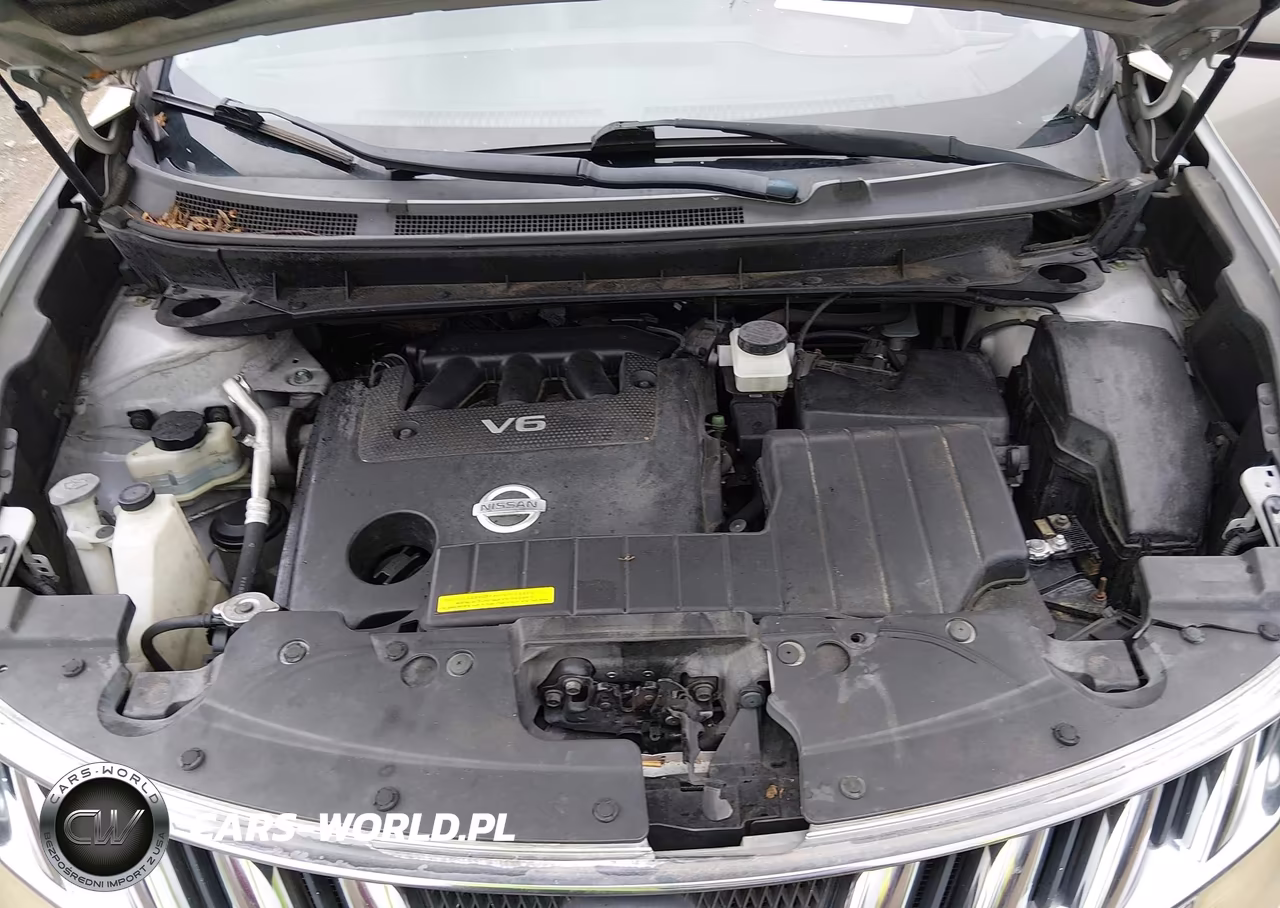 2009 Nissan Murano Le VIN:JN8AZ18WX9W158529 - 10