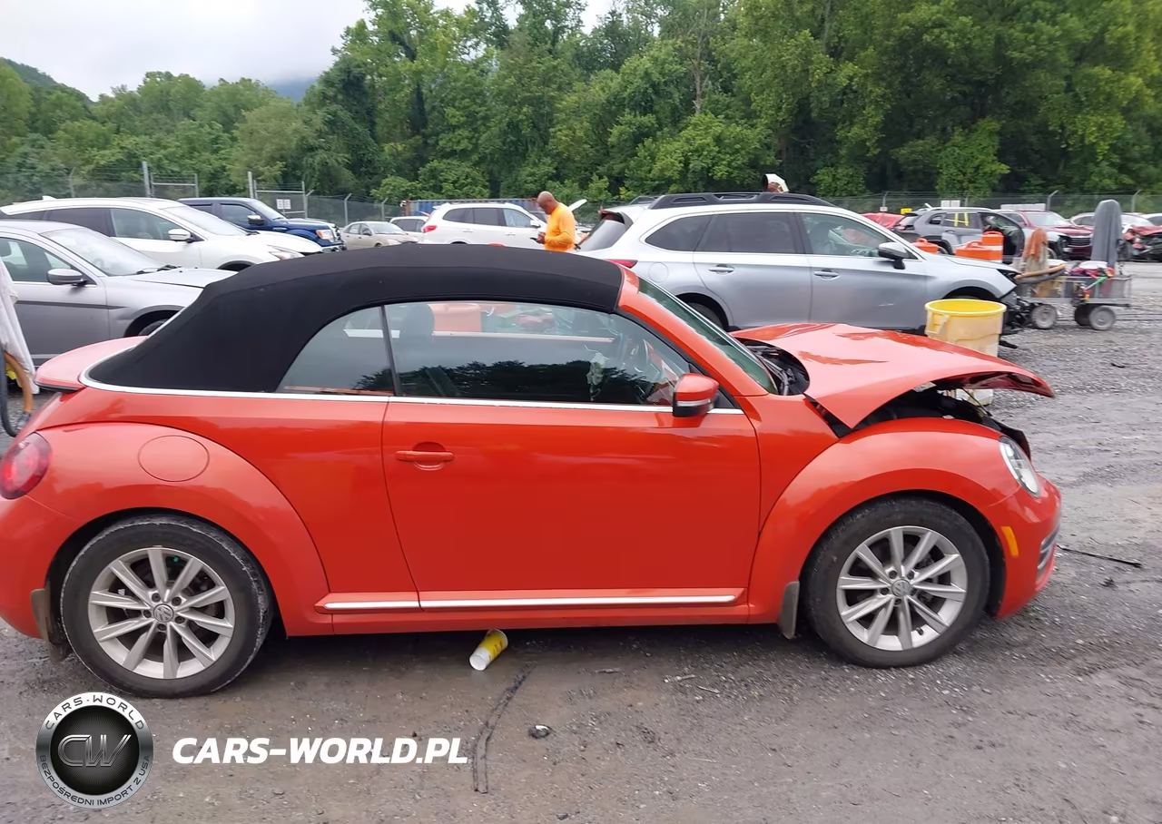 2019 Volkswagen Beetle 2.0T Final Edition Se-2.0T Final Edition Sel-2.0T S-2.0T Se VIN:3VW5DAAT2KM506354 - 13