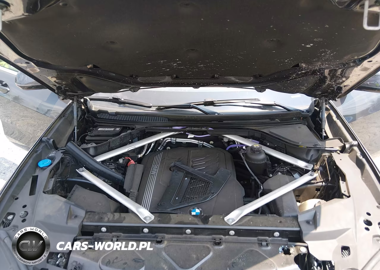 2023 BMW X5 Sdrive40I VIN:5UXCR4C02P9N44722 - 10