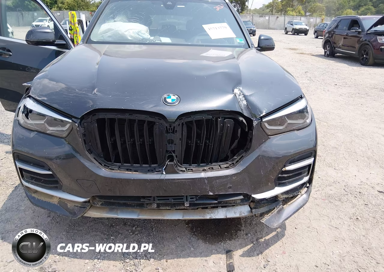 2023 BMW X5 Sdrive40I VIN:5UXCR4C02P9N44722 - 12