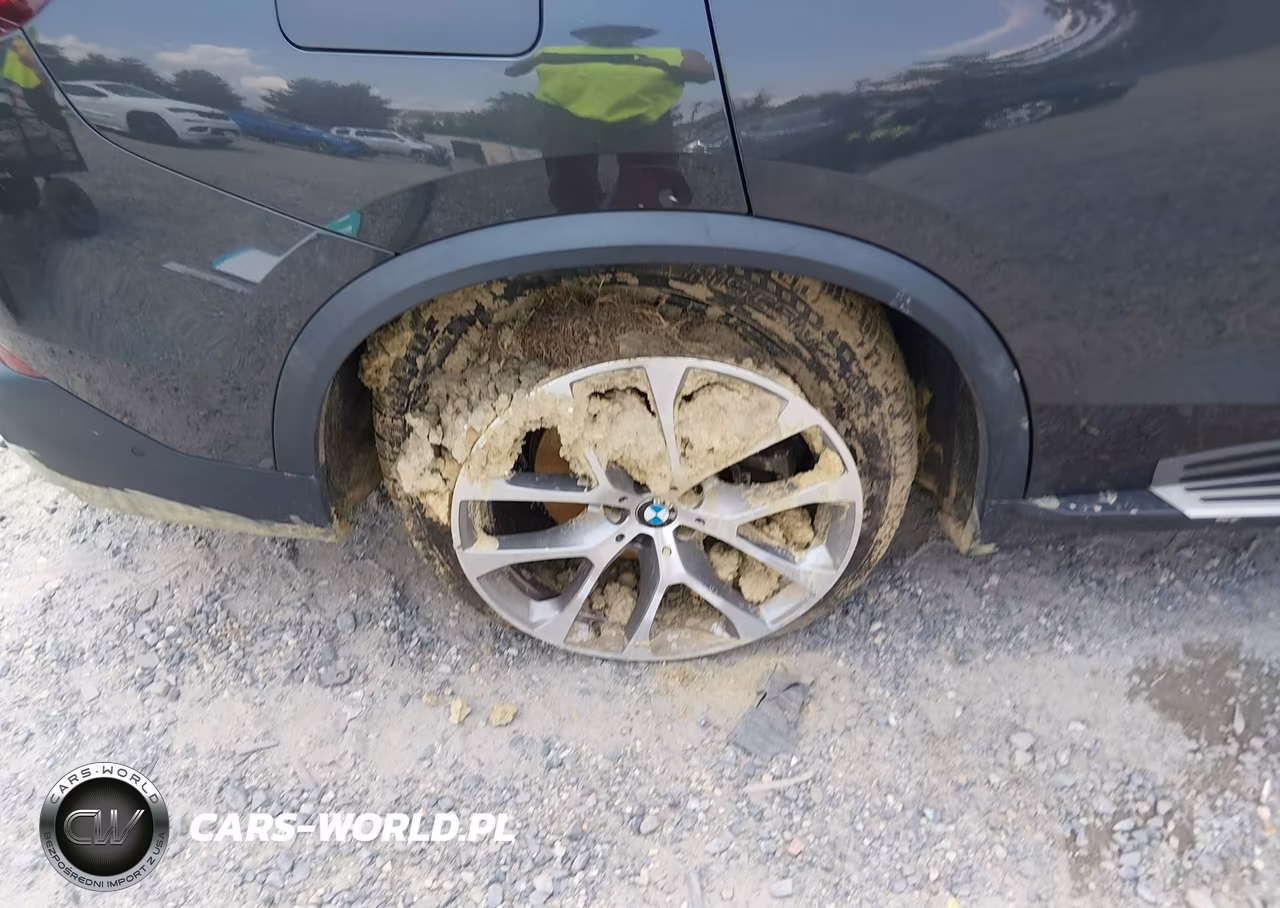 2023 BMW X5 Sdrive40I VIN:5UXCR4C02P9N44722 - 6