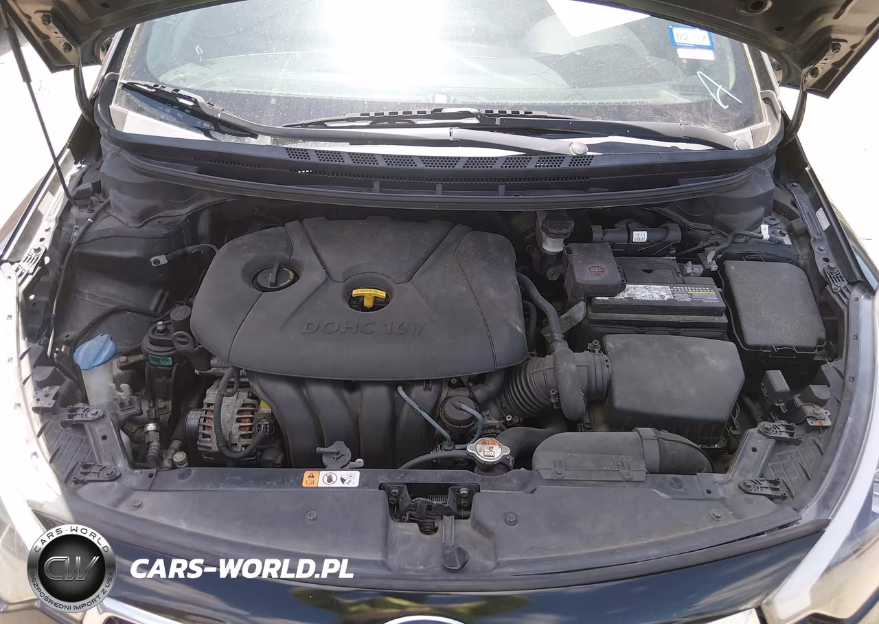 2016 Kia Forte Lx VIN:KNAFK4A61G5551353 - 10