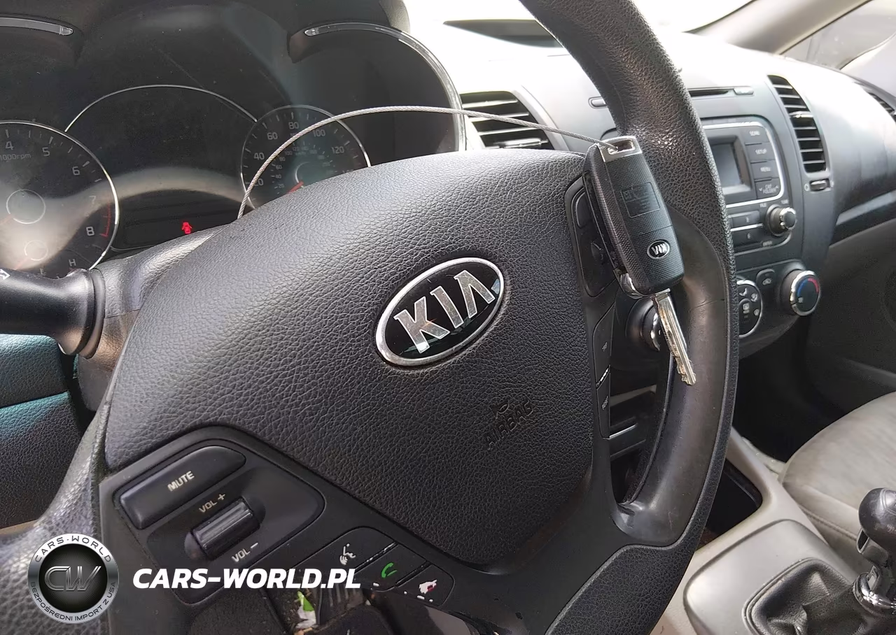 2016 Kia Forte Lx VIN:KNAFK4A61G5551353 - 11