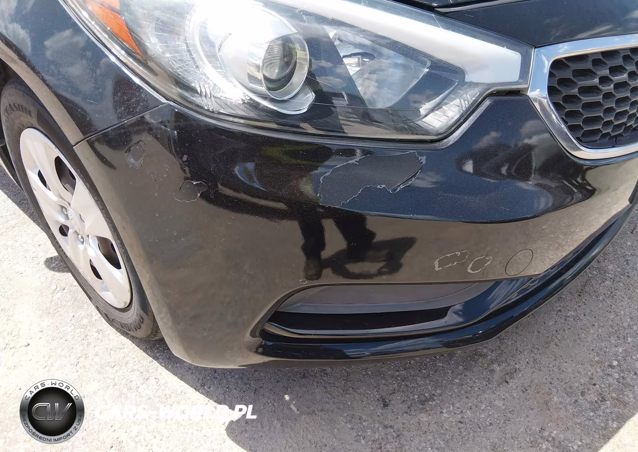 2016 Kia Forte Lx VIN:KNAFK4A61G5551353 - 12