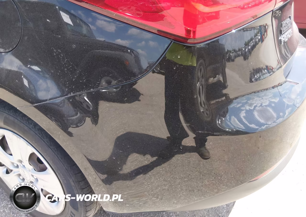 2016 Kia Forte Lx VIN:KNAFK4A61G5551353 - 13