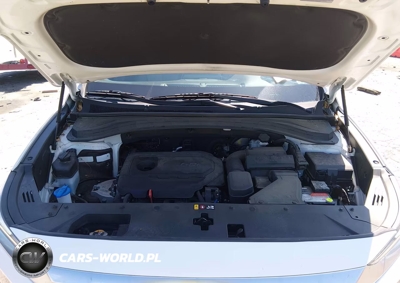 2020 Hyundai Santa Fe Sel VIN:5NMS3CAD7LH216998 - 10