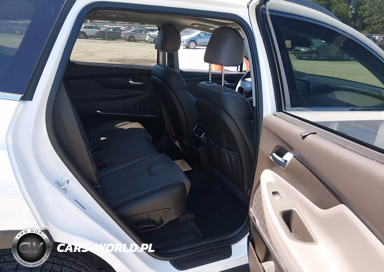 2020 Hyundai Santa Fe Sel VIN:5NMS3CAD7LH216998 - 8