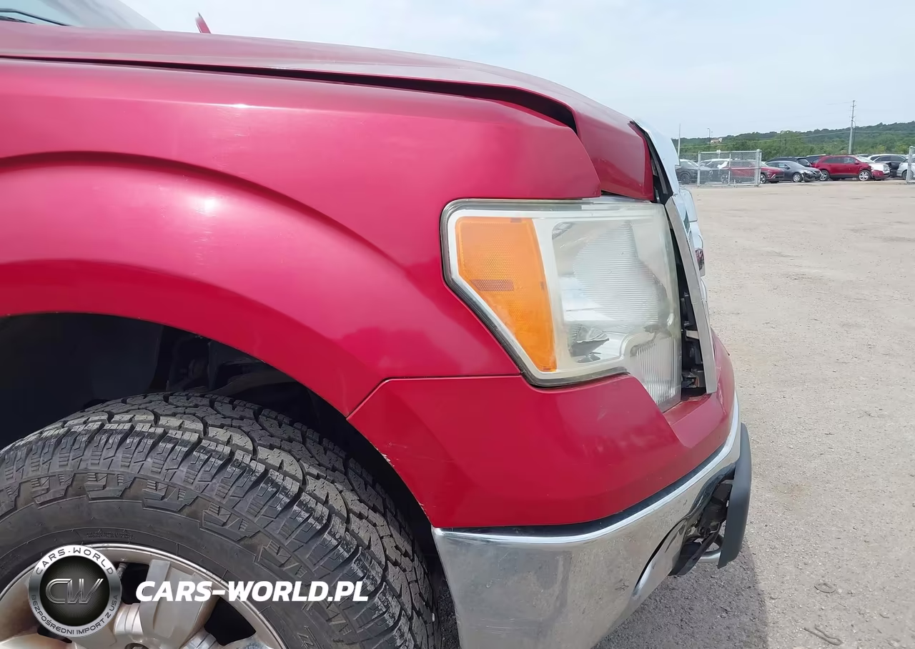 2009 Ford F-150 Xl-Xlt VIN:1FTRW14879FA08800 - 12
