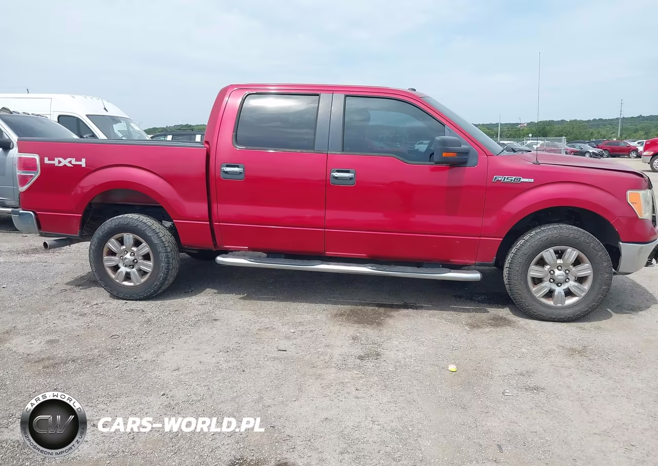 2009 Ford F-150 Xl-Xlt VIN:1FTRW14879FA08800 - 14