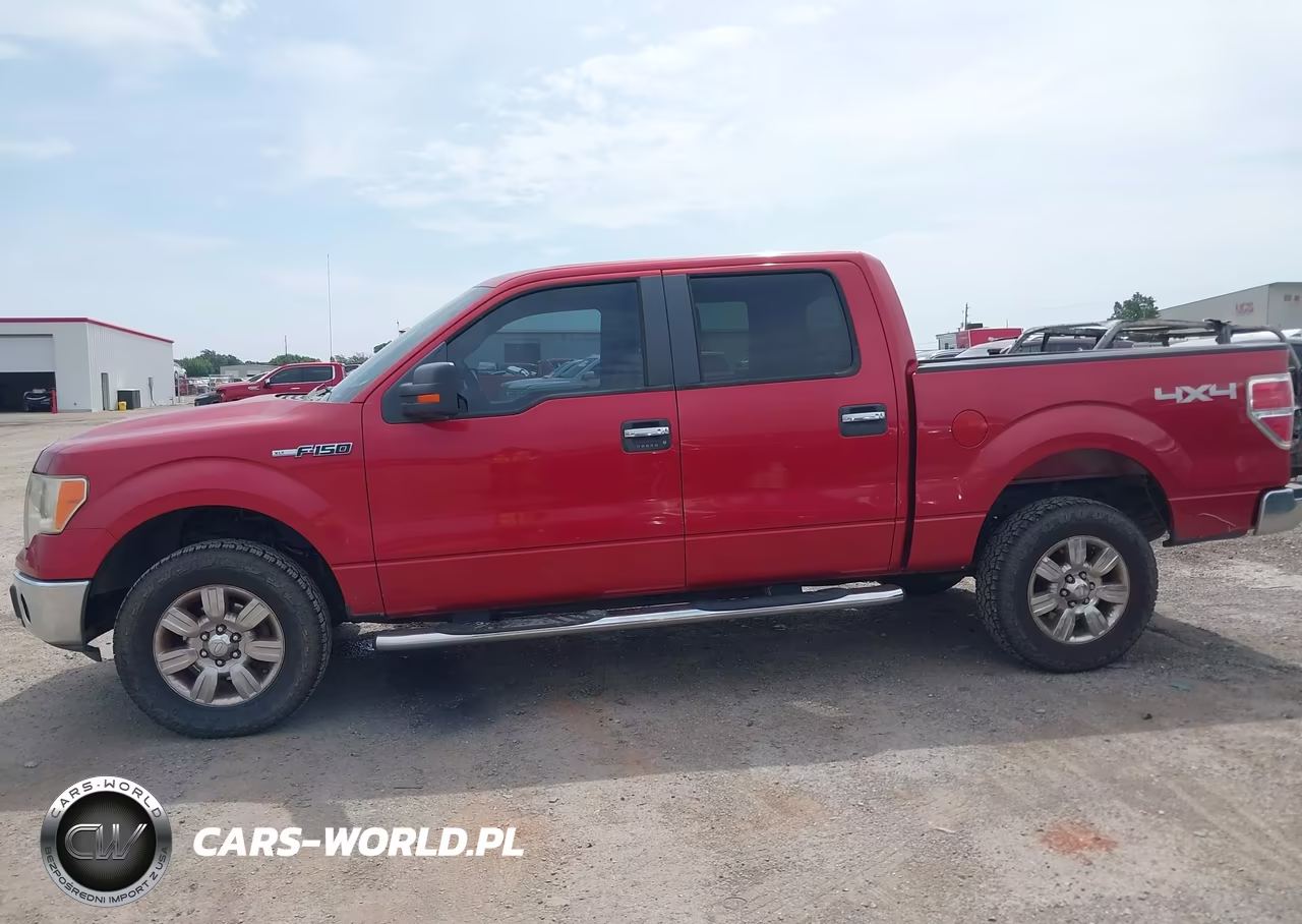 2009 Ford F-150 Xl-Xlt VIN:1FTRW14879FA08800 - 15