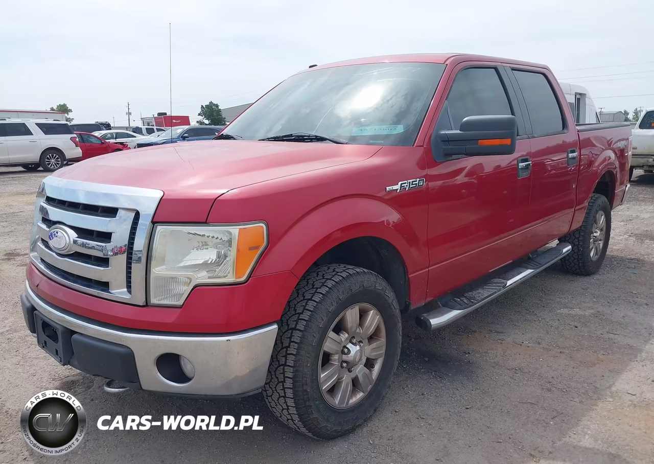 2009 Ford F-150 Xl-Xlt VIN:1FTRW14879FA08800 - 2
