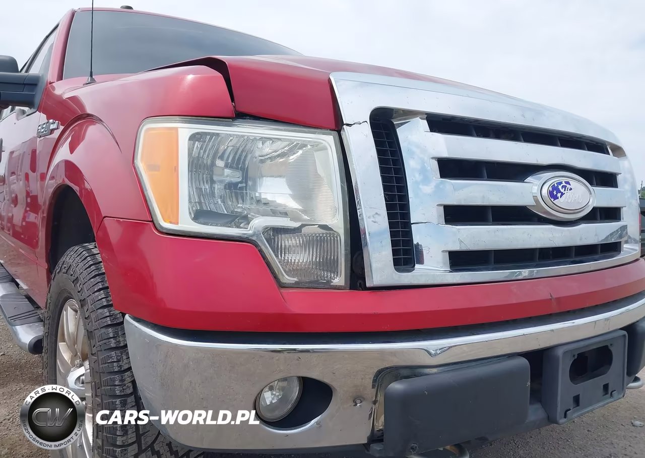2009 Ford F-150 Xl-Xlt VIN:1FTRW14879FA08800 - 6