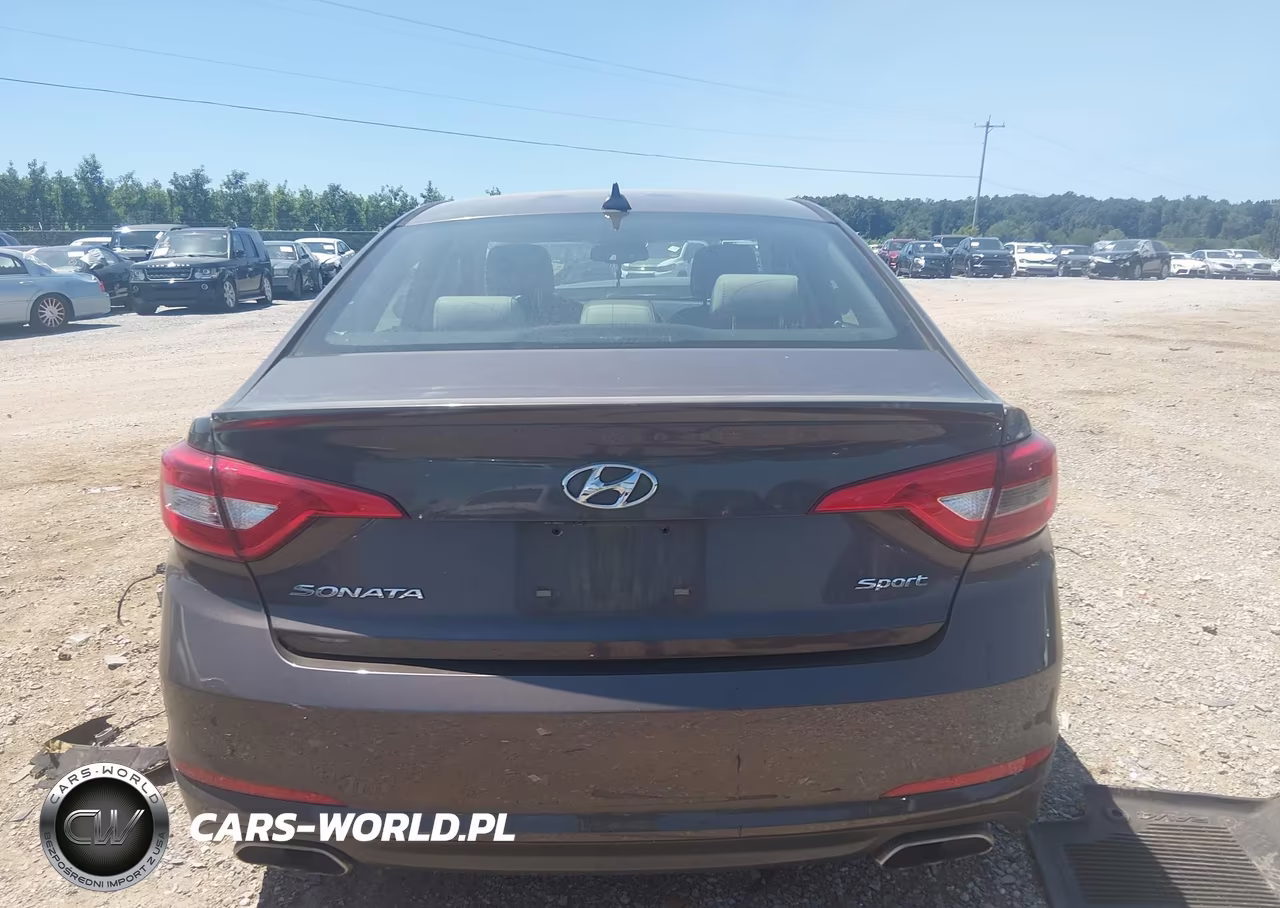 2016 Hyundai Sonata Sport VIN:5NPE34AF7GH374805 - 16