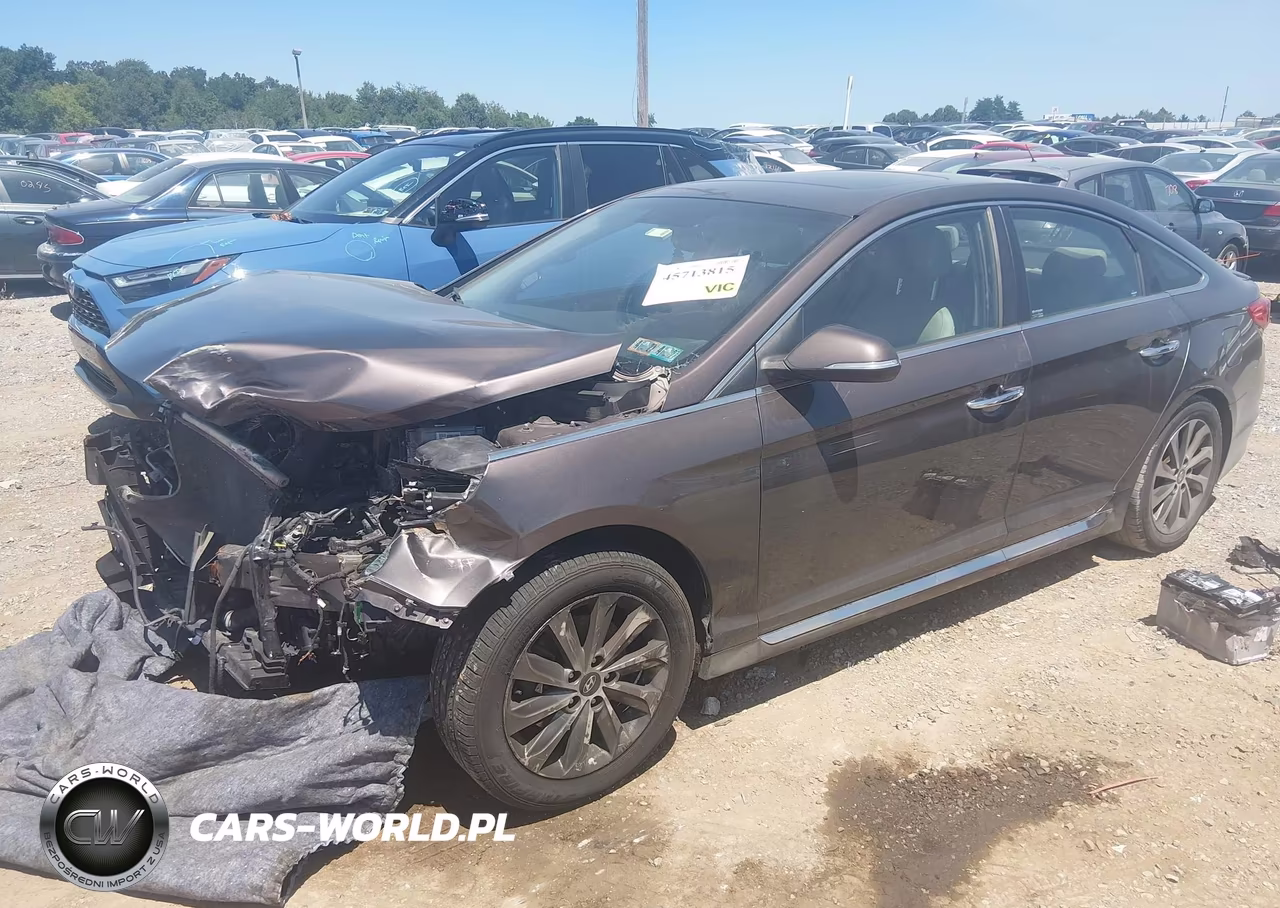 2016 Hyundai Sonata Sport VIN:5NPE34AF7GH374805 - 2