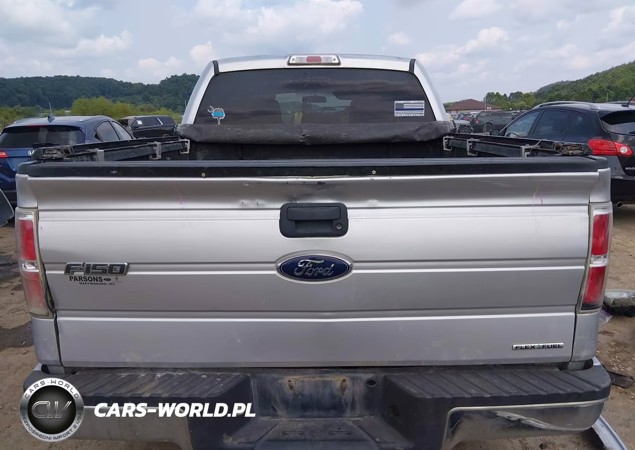 2014 Ford F-150 Xlt VIN:1FTFW1EF5EFA31714 - 17